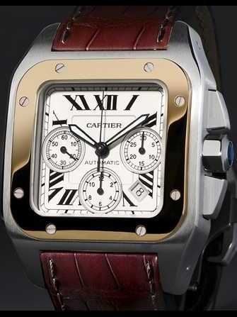 นาฬิกา Cartier Montre santos 100 W20091X7 - w20091x7-1.jpg - blink